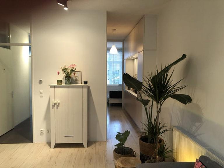 3-slaapkamer appartement met tuin in IJburg - Afbeelding 4