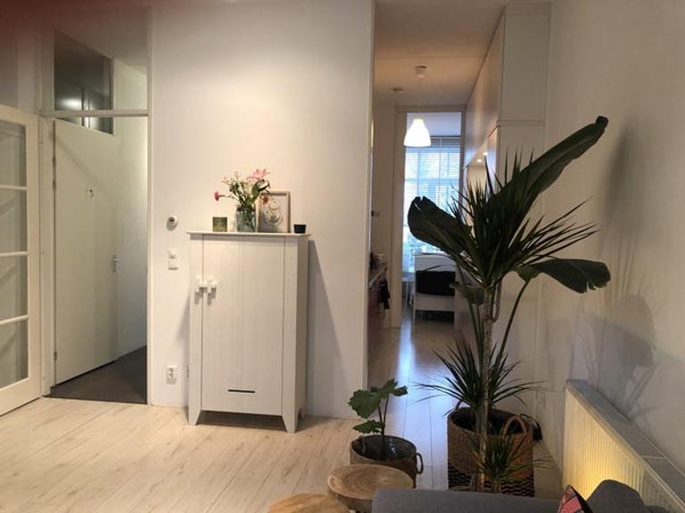 3-slaapkamer appartement met tuin in IJburg - Afbeelding 6