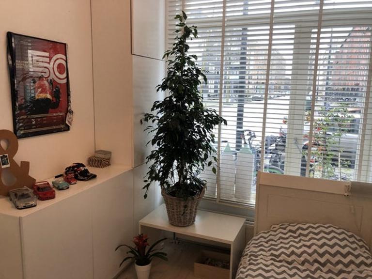 3-slaapkamer appartement met tuin in IJburg - Afbeelding 12