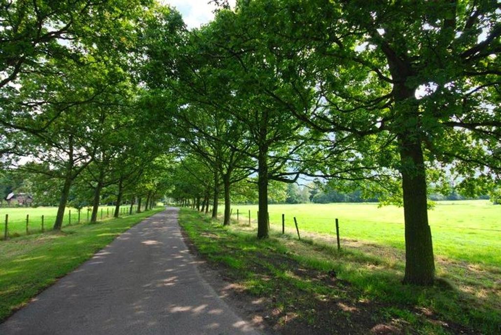 Vrijstaand wonen op landgoed in Wassenaar - Afbeelding 2