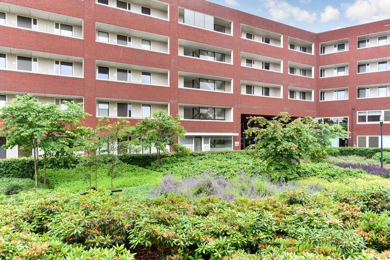 Corner apartment with balcony and parking space - Image 19