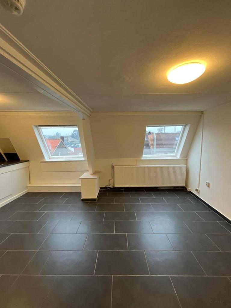 55 m² Studio with Separate Bedroom - Image 3