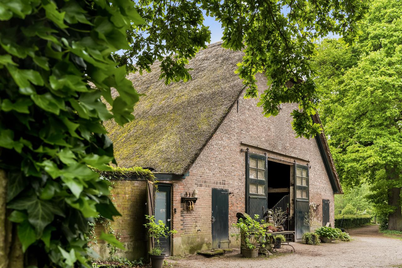 Farmhouse with Pasture in Loenen - Image 4
