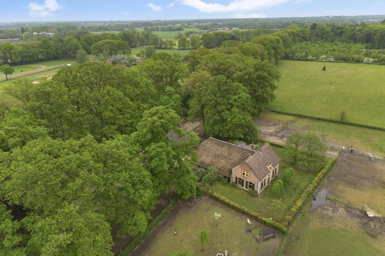 Farmhouse with Pasture in Loenen - Image 6