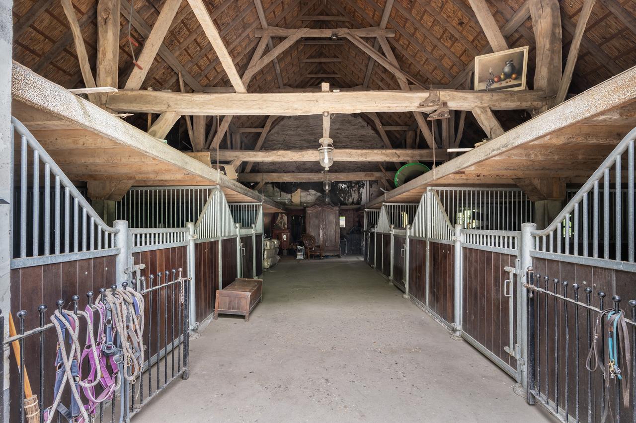 Farmhouse with Pasture in Loenen - Image 23