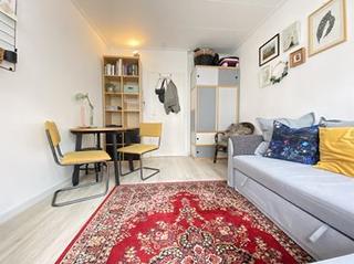 Appartement met slaapkamer in hartje Maastricht - Afbeelding 3