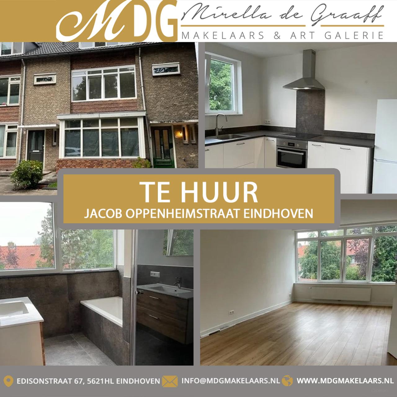 Duplex appartement naast het Evoluon - Afbeelding 1