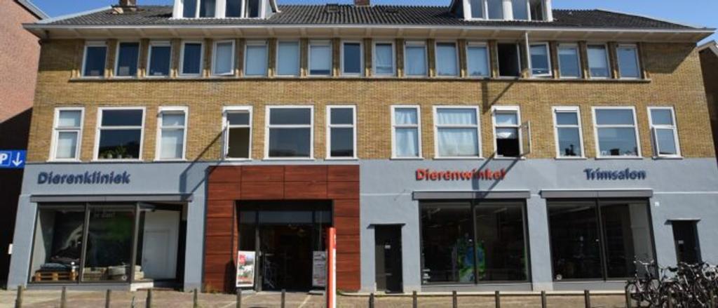 Zolderkamer met groot dakterras - Afbeelding 2