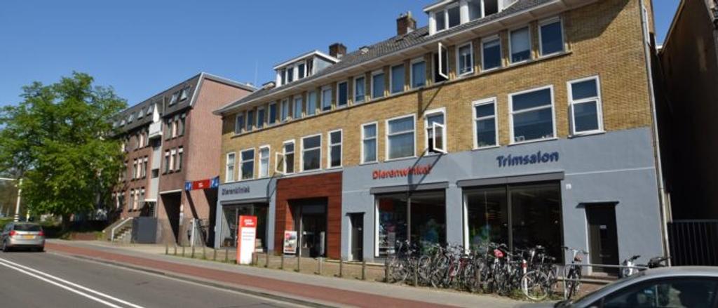 Zolderkamer met groot dakterras - Afbeelding 3