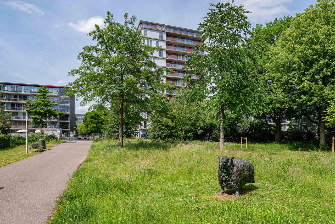 Gemeubileerd 3-kamerappartement met uitzicht - Afbeelding 3