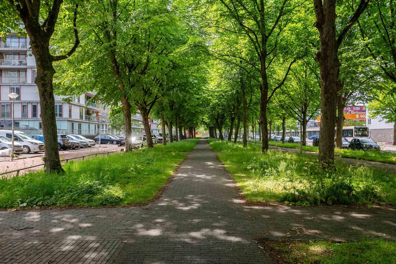 Gemeubileerd 3-kamerappartement met uitzicht - Afbeelding 6