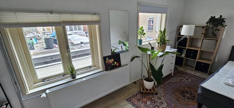 Kamer van 14 m² in Schildersbuurt - Afbeelding 2