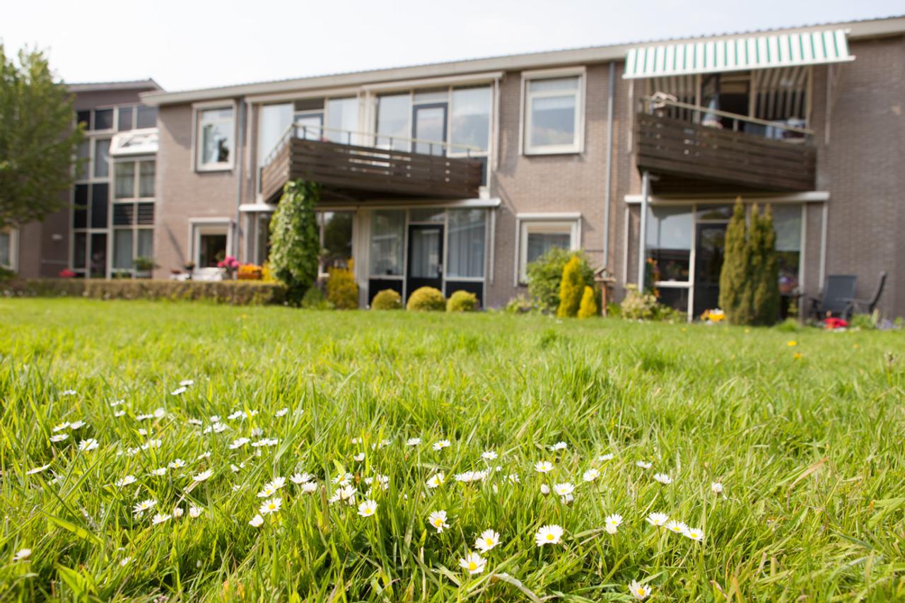 Licht appartement in 't Nieuwe Kampje - Afbeelding 6