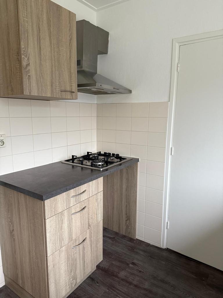 Antikraak huis op Texel met tuin - Afbeelding 3