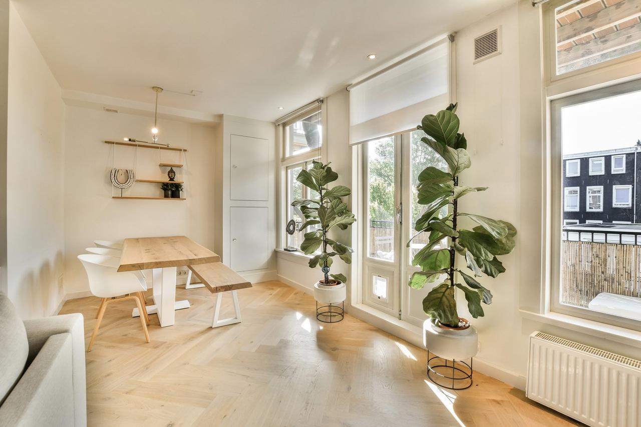 Licht 2-slaapkamer appartement in De Pijp - Afbeelding 4