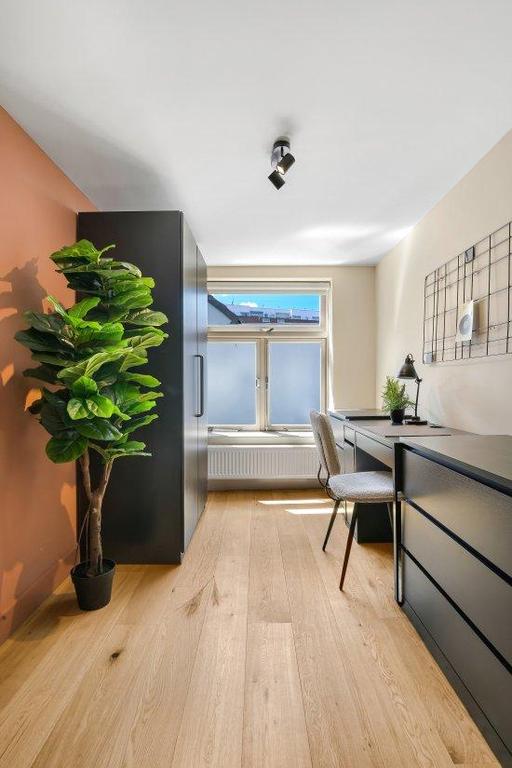 Gemeubileerd 3-kamerappartement in centrum - Afbeelding 11