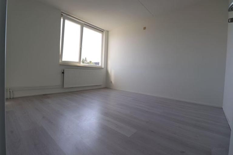 Tussenwoning met diepe tuin in Brouwhuis - Afbeelding 7