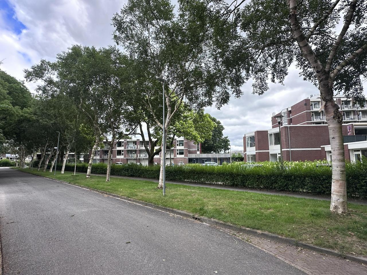 Gelijkvloers 2-kamerappartement met terras - Afbeelding 18