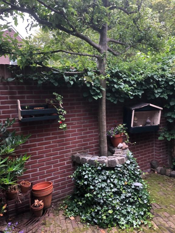 Gemeubileerd huis met tuin in Beverwijk - Afbeelding 17