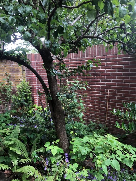 Gemeubileerd huis met tuin in Beverwijk - Afbeelding 18