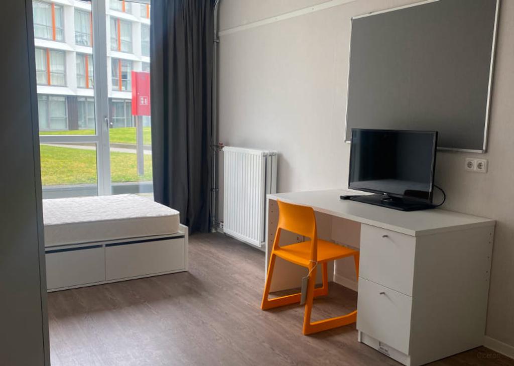 Gemeubileerde studentenkamer met keuken - Afbeelding 2