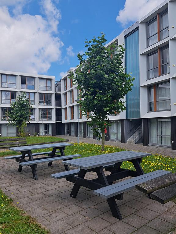 Gemeubileerde studentenkamer met keuken - Afbeelding 6