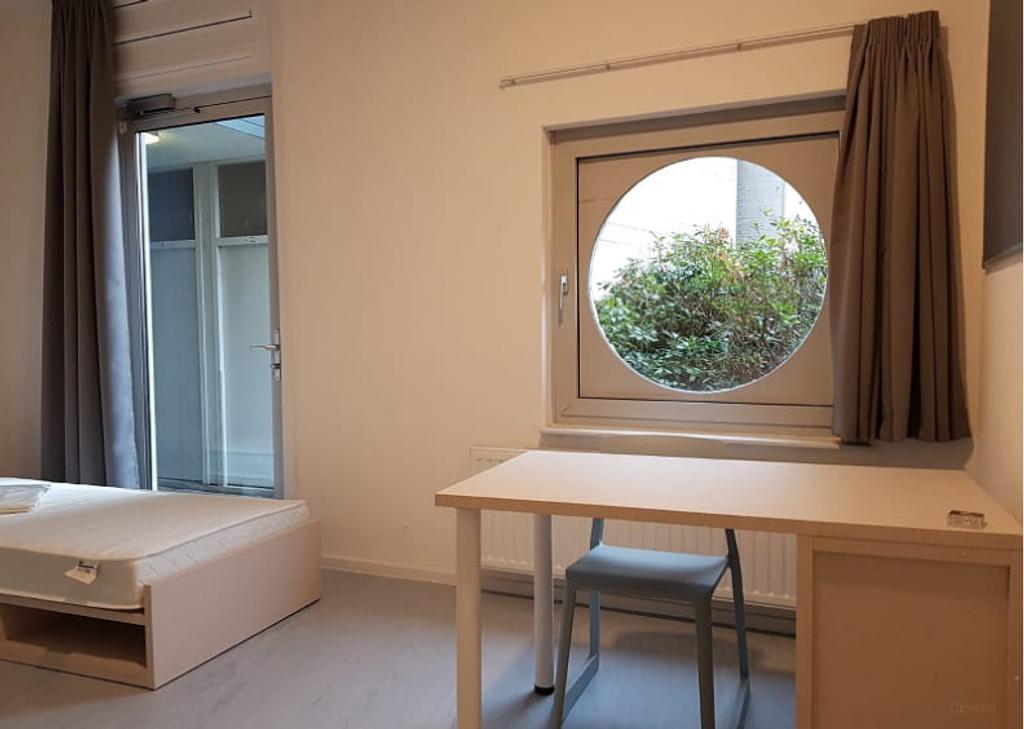 Furnished Student Room in Delft City Centre - Image 1
