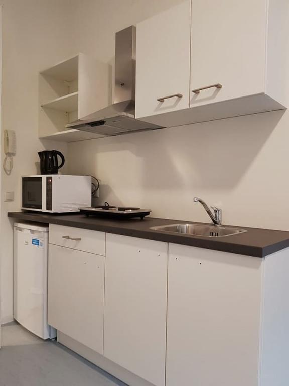 Furnished Student Room in Delft City Centre - Image 10