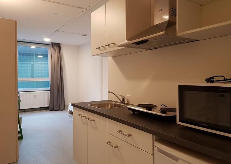 Furnished Student Room in Delft City Centre - Image 13