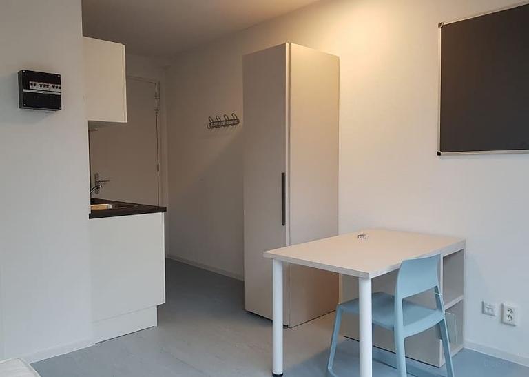Furnished Student Room in Delft City Centre - Image 17
