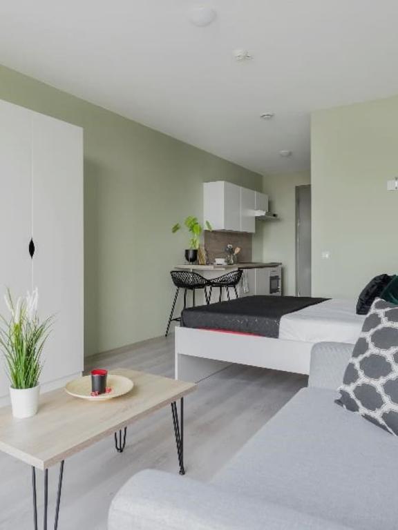 Furnished Room in Zernike Tower - Image 10