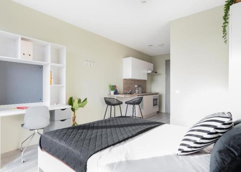 Furnished Room in Zernike Tower - Image 19