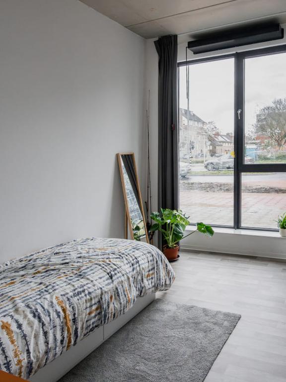 Gemeubileerde studio in Limbeek-Zuid - Afbeelding 9