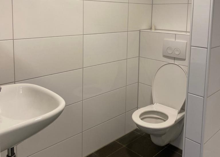 Furnished Student Room in Duivendaal - Image 6