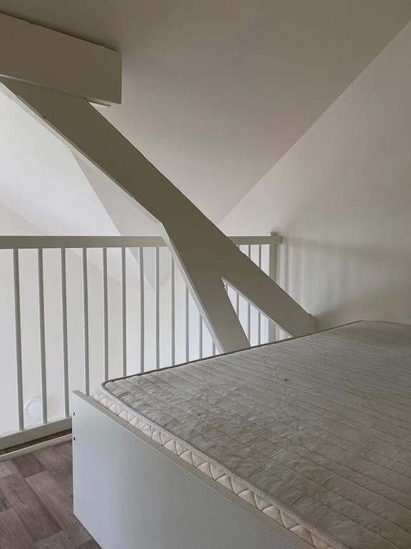 Furnished Student Room in Duivendaal - Image 19