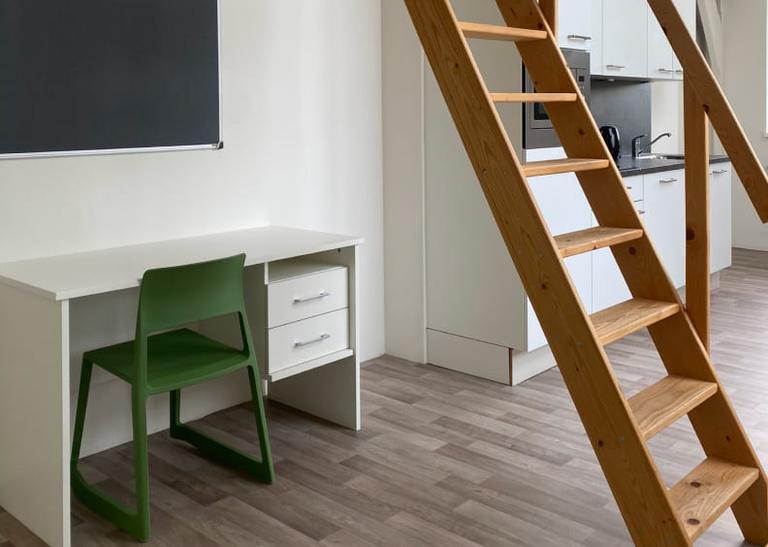 Furnished Student Room in Duivendaal - Image 21