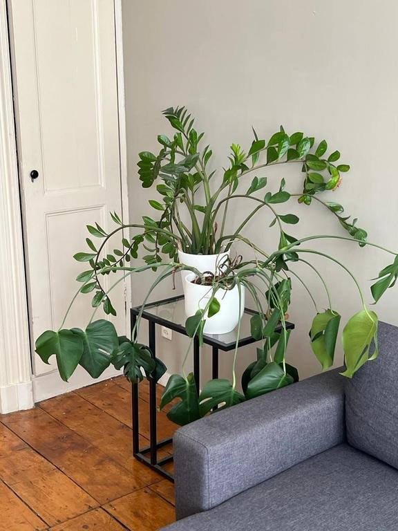 Gemeubileerd 3-kamerappartement met balkon - Afbeelding 5