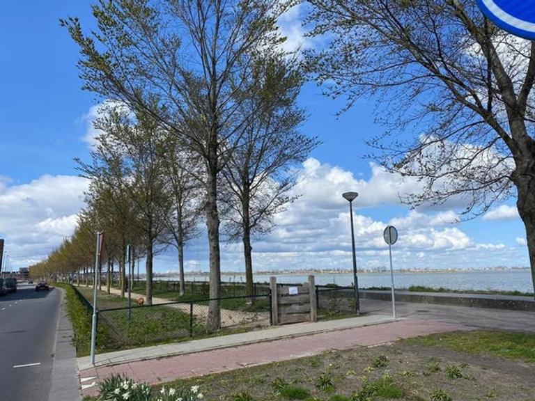 Licht appartement met uitzicht op het IJmeer - Afbeelding 5