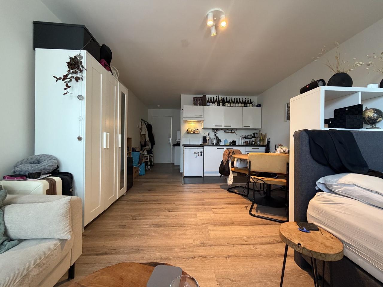 Studio van 33 m2 in Diezerpoort Zwolle - Afbeelding 4