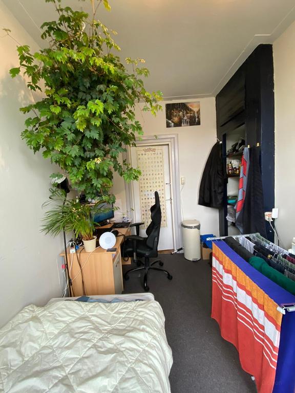 16m² Student Room on Korreweg, Groningen - Image 9