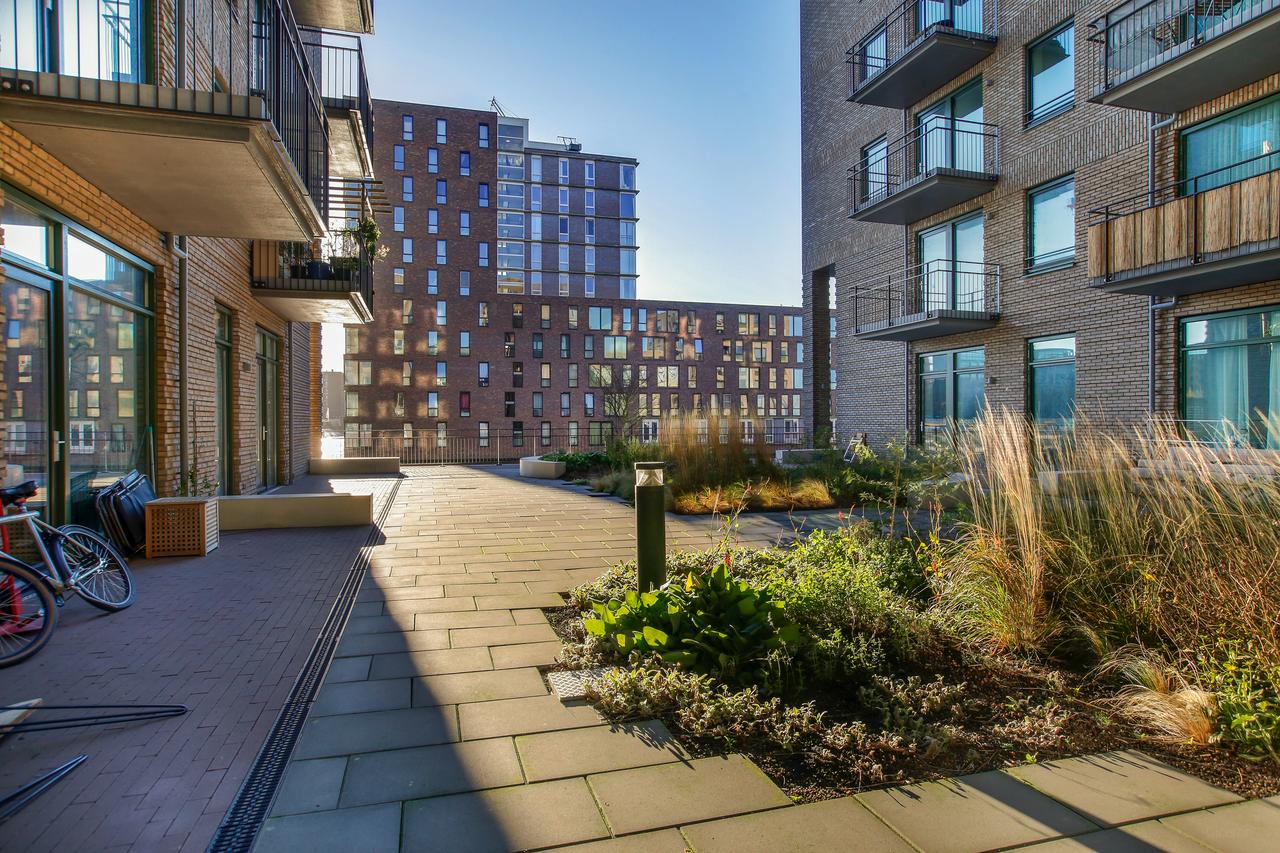2-kamerappartement met balkon op IJburg - Afbeelding 1