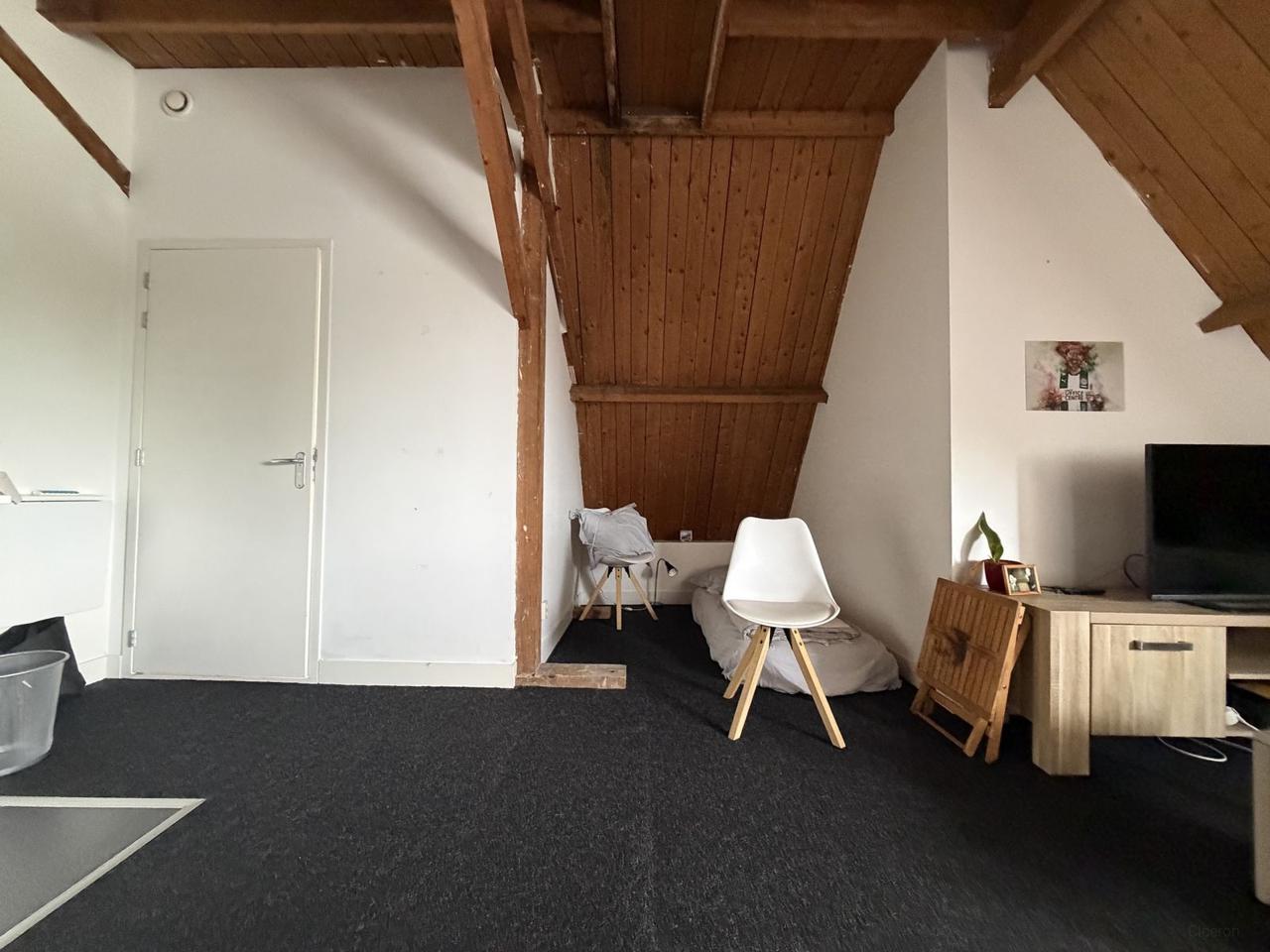 Studio met dakterras in Diezerpoort - Afbeelding 3