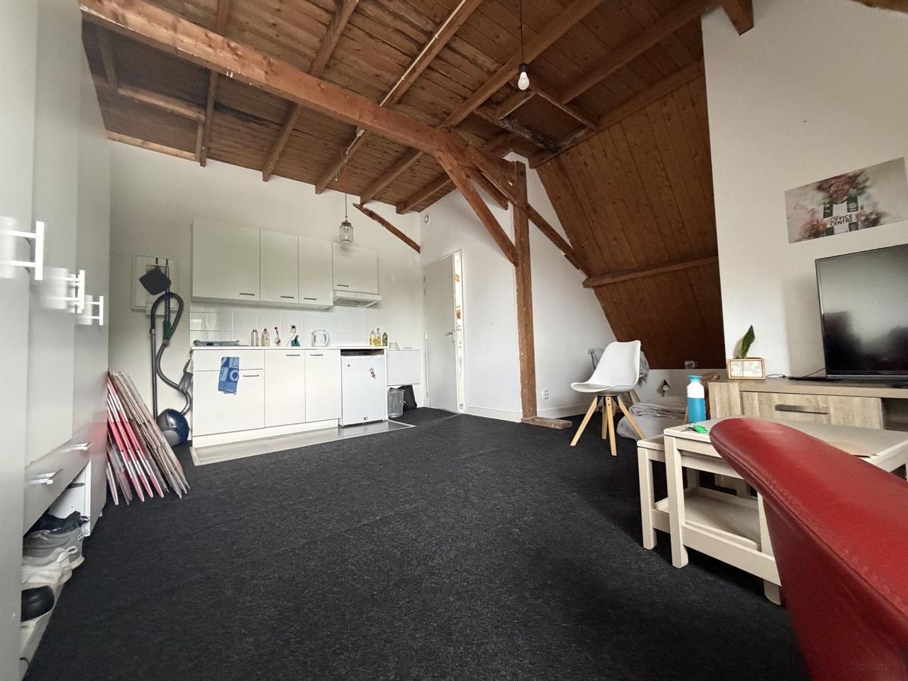 Studio met dakterras in Diezerpoort - Afbeelding 5
