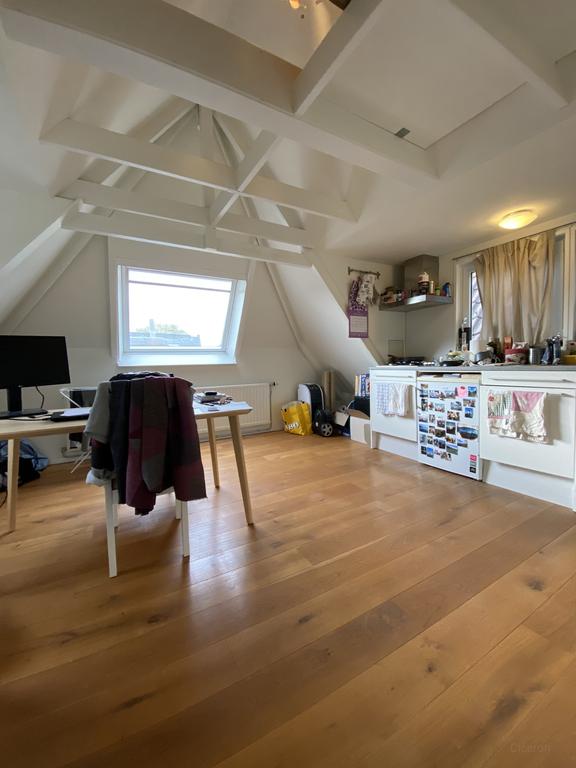 2-kamerappartement in de Indische Buurt - Afbeelding 5