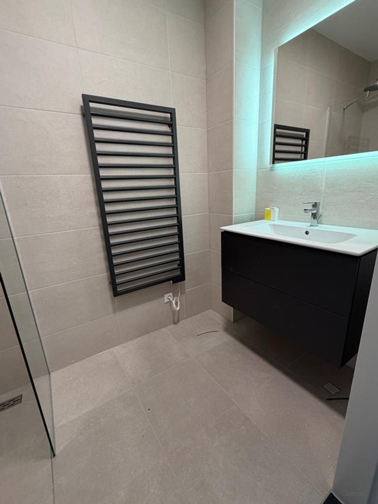 3-Room Apartment with Balcony in Hyde Park - Image 3