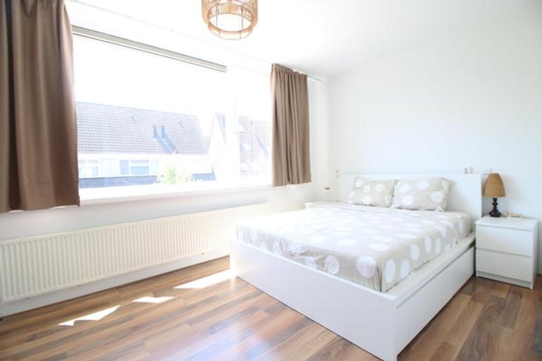 Huis met oprit naast Hoog Ambacht - Afbeelding 3