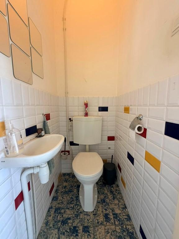 Studio met tuin aan de Amsterdamsestraatweg - Afbeelding 8
