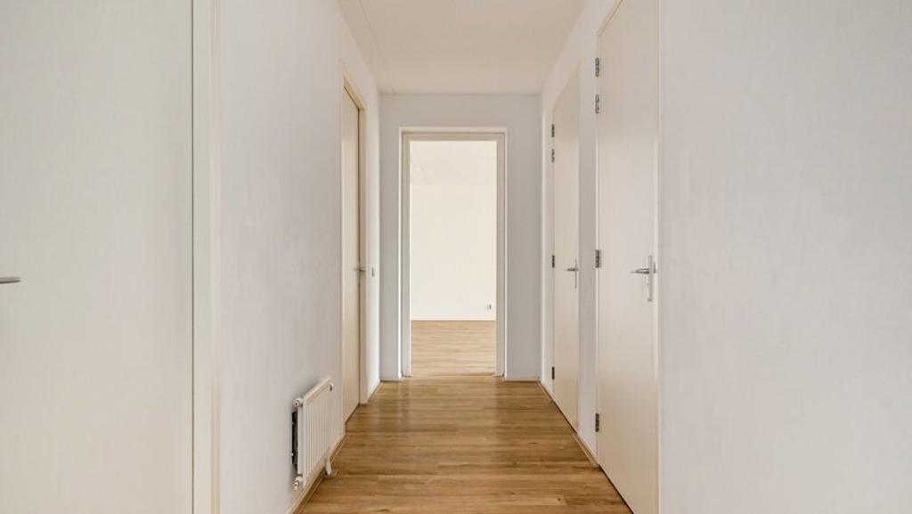 119 m² appartement met balkon op IJburg - Afbeelding 2