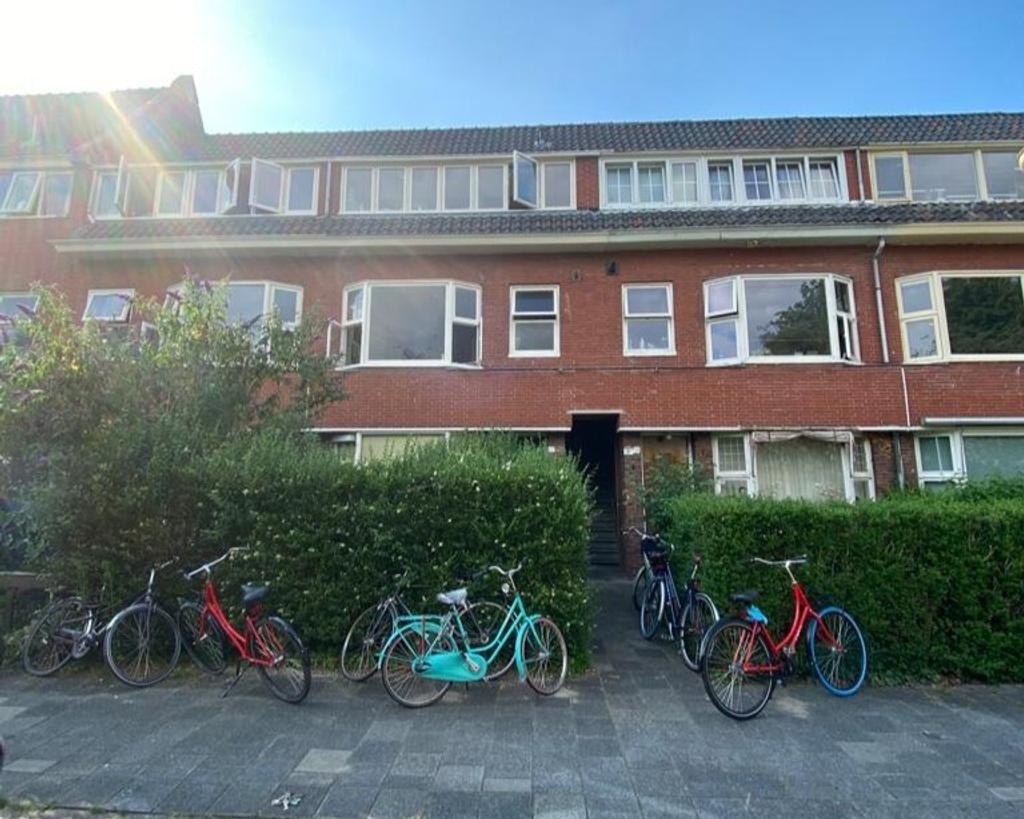 Kamer met dakterras bij Noorderplantsoen - Afbeelding 1