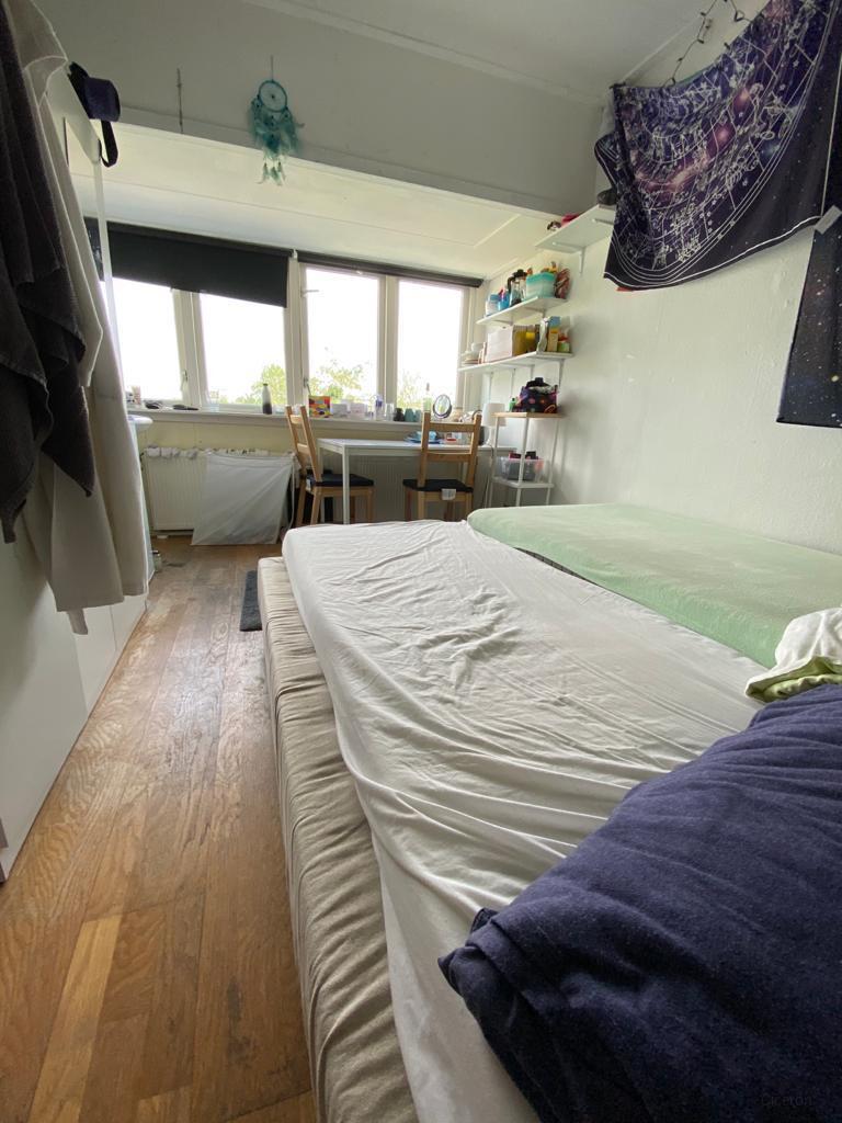 Kamer met dakterras bij Noorderplantsoen - Afbeelding 2